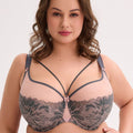  Semi-soft model 220482 Gaia 