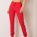  Tracksuit trousers model 161323 BFG 