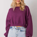  Sweatshirt model 169773 BFG 
